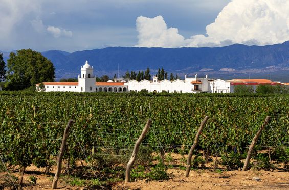 Visitare le cantine