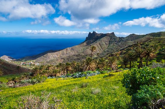 Esplorare La Gomera, l’isola vicina