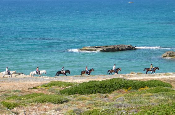 Fare una passeggiata a cavallo