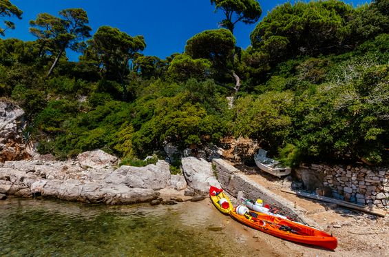 Scoprire l'isola di Lokrum (Lacroma) e i suoi segreti in kayak