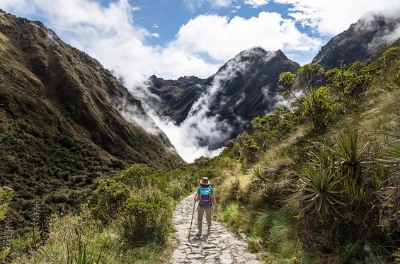 Fare trekking