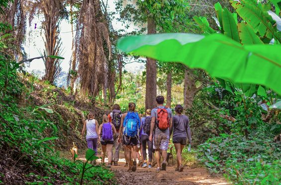 Trekking nella giungla