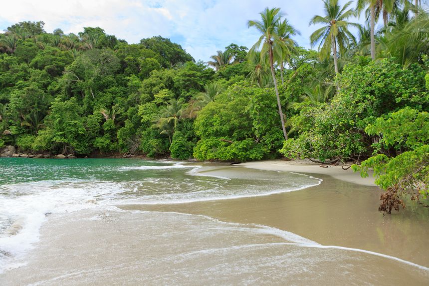 Il parco nazionale di Manuel Antonio