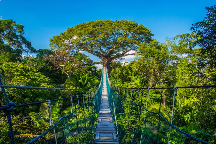 La foresta amazzonica