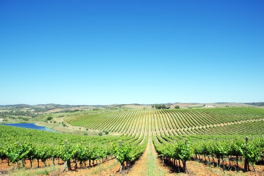 La strada dei vini dell'Alentejo