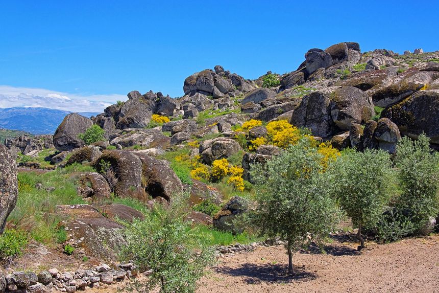 Parco naturale Serra da Estrela