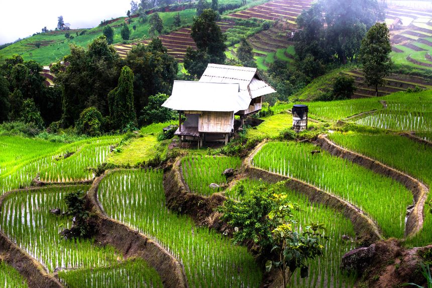 Chiang Rai e il Triangolo d'Oro