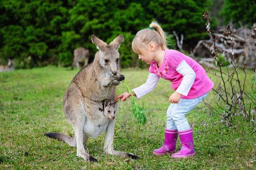 viaggio famille Australia