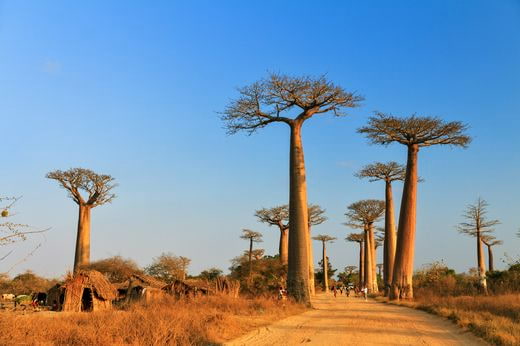 viaggio famille Madagascar