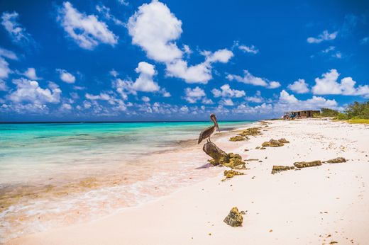 viaggio noces Bonaire (Antille olandesi)