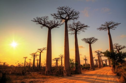 viaggio noces Madagascar