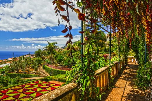 viaggio noces Madeira