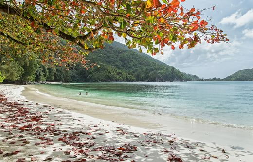 viaggio noces Seychelles