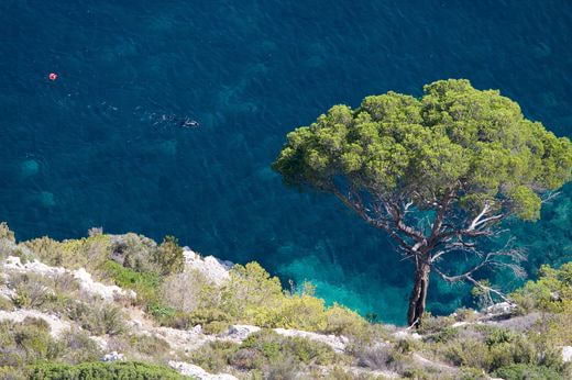 plongee Francia : Provenza