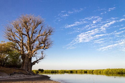 viaggio randonnee Senegal