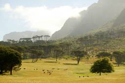Sudafrica