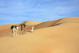 Mauritania