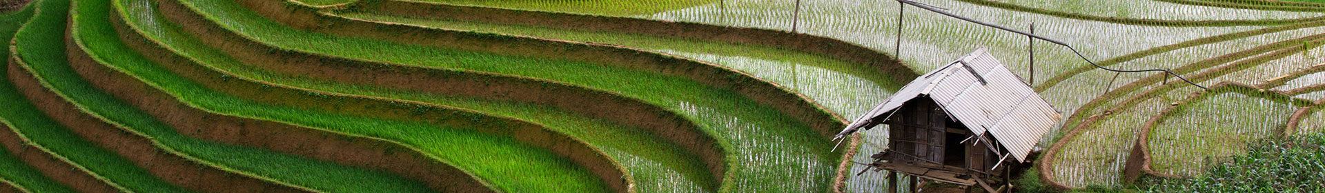 Quando andare nelle Filippine ? Clima, Meteo e Affluenza