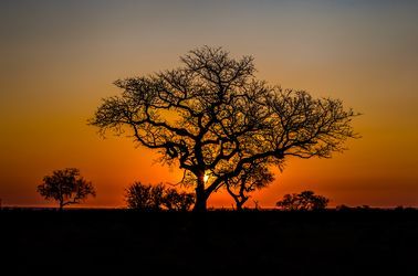 KwaZulu-Natal