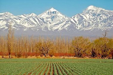 Mendoza, au pied des Andes