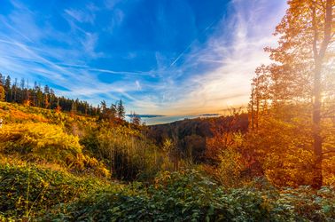 Vallée de la Hoëgne