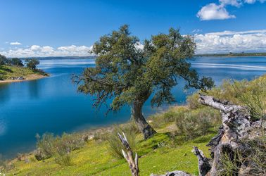 Le fleuve Tage
