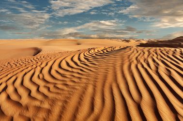 Dunes de sable