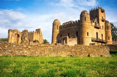 Château de Fasilidas à Gondar