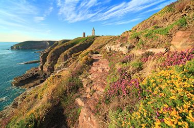 Cap Fréhel