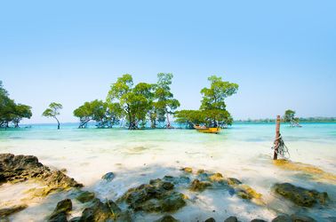 L'île Havelock 