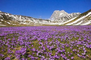 Les Abruzzes, Le Molise et les Pouilles 