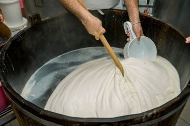 Mozzarella di bufala Campana