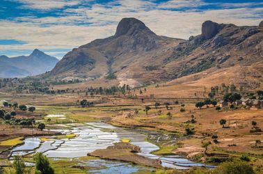 Rizières de Betsileo 