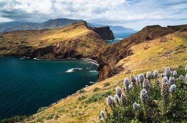 La partie Est de l'île