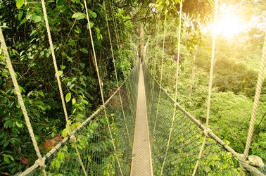 Le parc national de Taman Negara