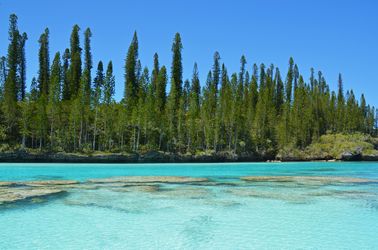 L'île des Pins