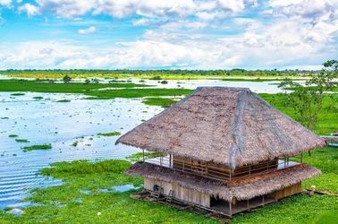 L’amazonie