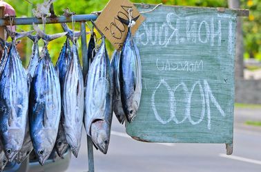 Poissons frais 