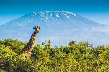 Mont Kilimandjaro