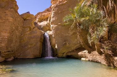 L'oasis de Chebika