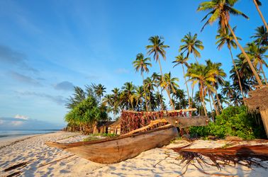 Palmiers sur une plage tropicale