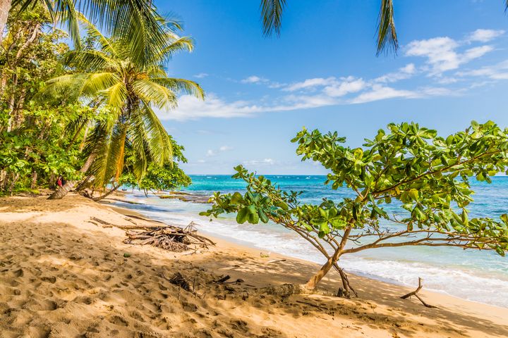 plage Le spiagge di Punta Uva