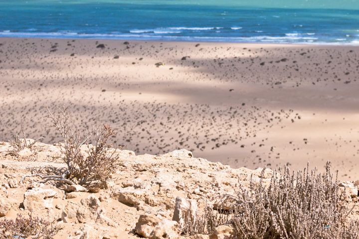 plage Spiaggia Bianca – Guelmim